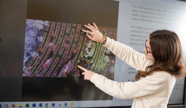 12 Misión visión valores x2-min