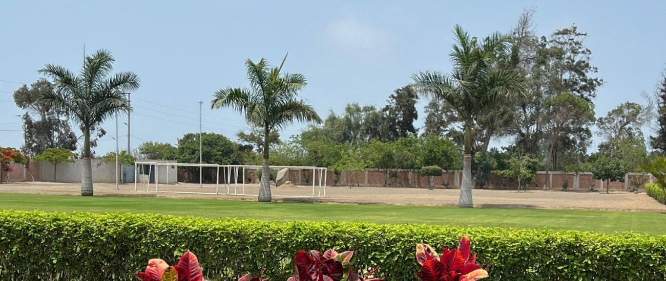 helvetia asia 1 galeria-min