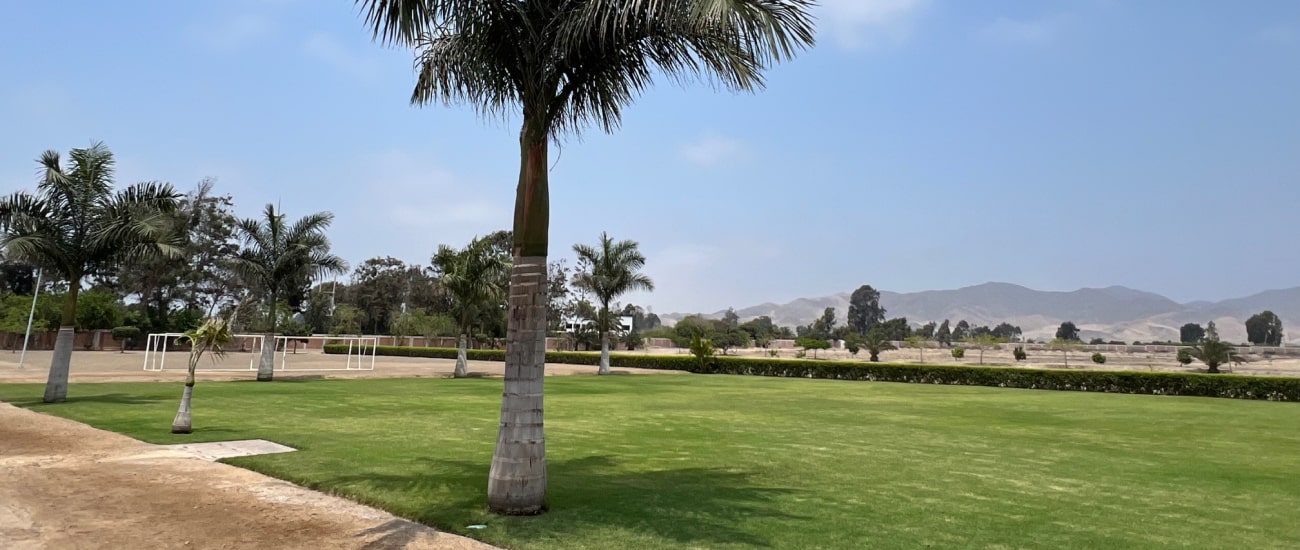 helvetia asia 3 galeria-min