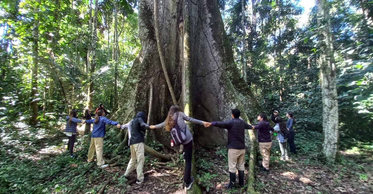 imagen semana de proyectos-min